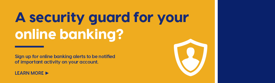 A security guard for your online banking?